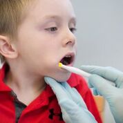 Ark Preefer Tip - Yellow - Image 3